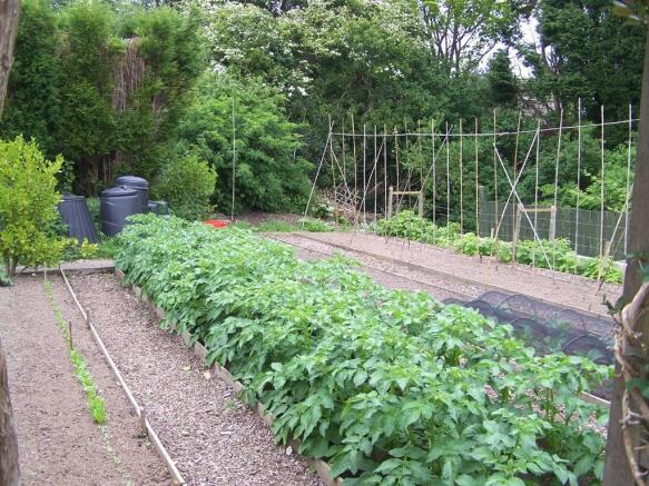 VEGETABLE PLOT