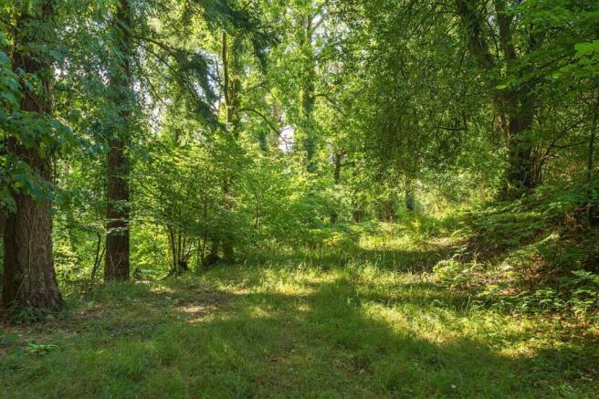 Heathcote Wood