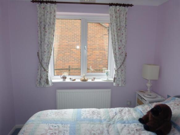 Image 12