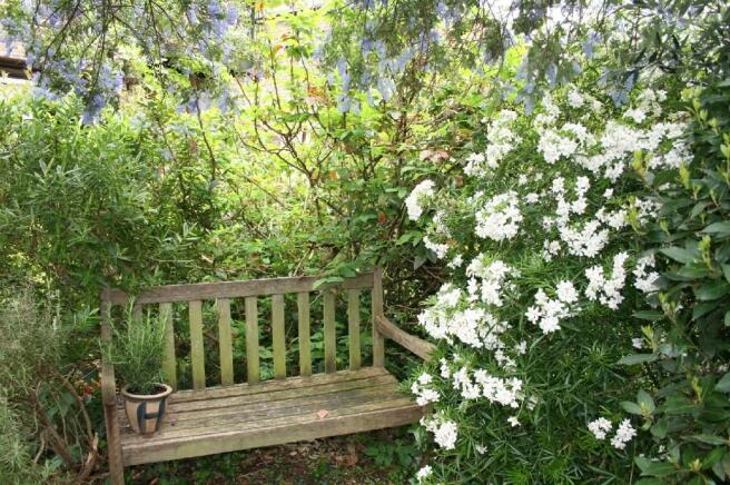 REAR GARDEN pic 3