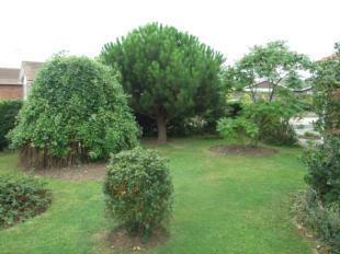 Picture No.09