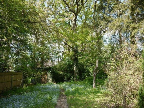 Rear Garden 2