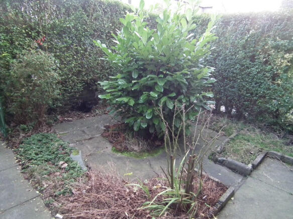 Yard