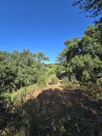 PHOTO-2025-08-20-14-