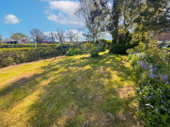 Back Garden