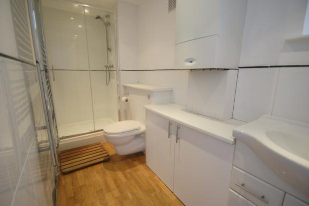 f1, 19 stone gardens shower room