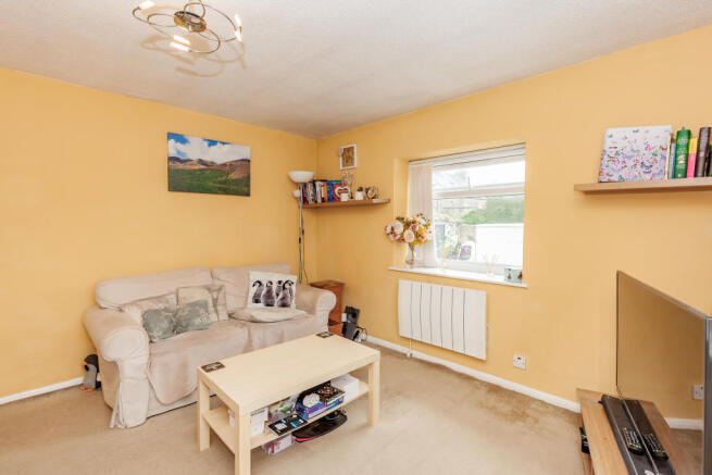 Picture 3