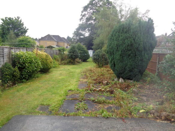 Photo 15