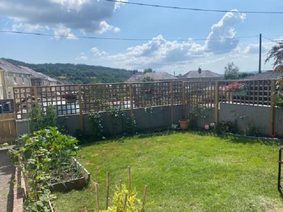 Vegetable Garden