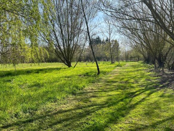 IMG-20250414-WA00...