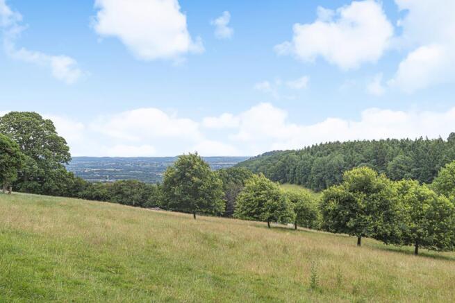 Distant views from top view