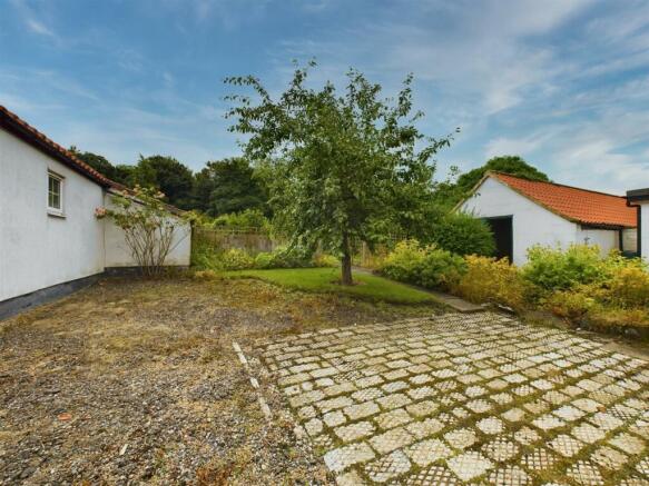 Plum Tree and Outbuilding