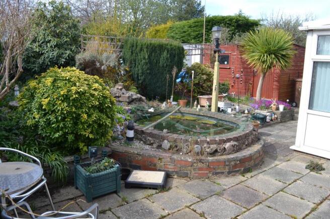 PATIO & POND