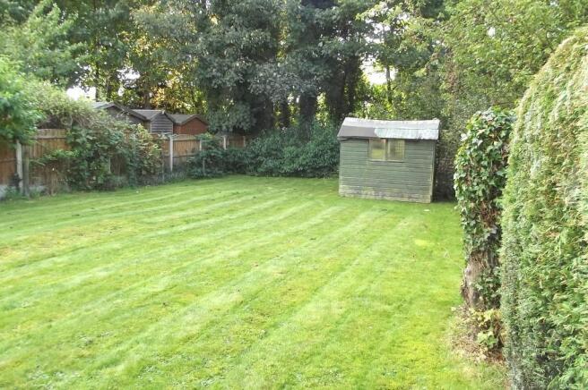 lower rear garden