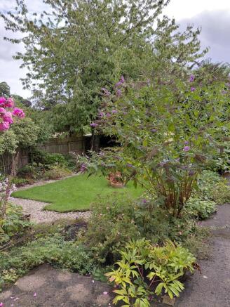 3 bed Terraced to rent Image 3