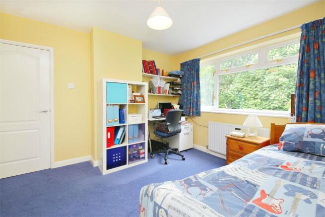 Picture 7