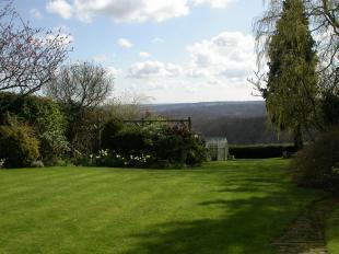 More garden