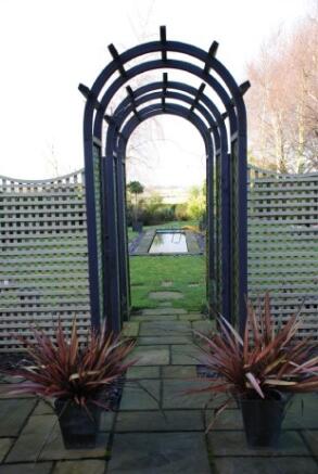 Photo 11