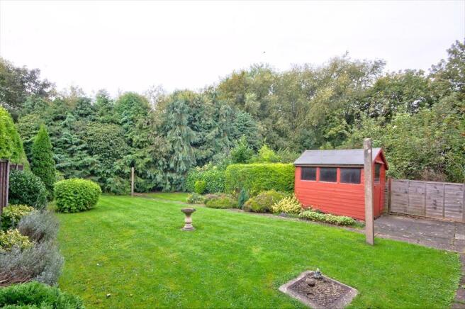Garden 3.jpg