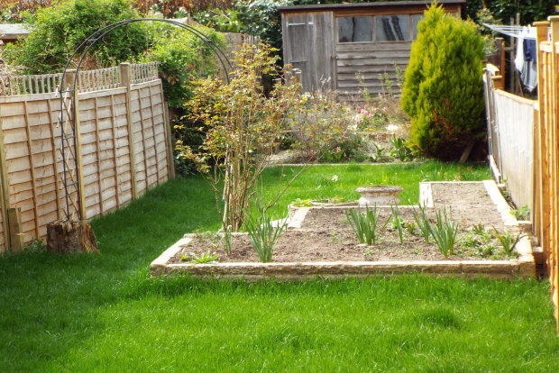 Photo 8