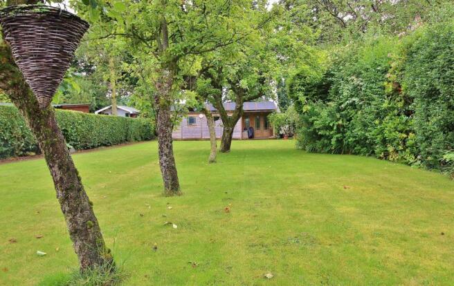 Rear Garden Pic 5