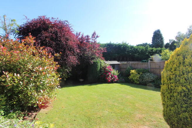 Photo 14