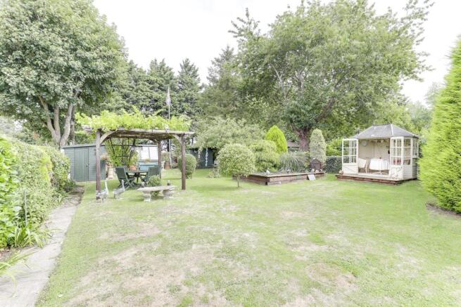 garden 3.jpg