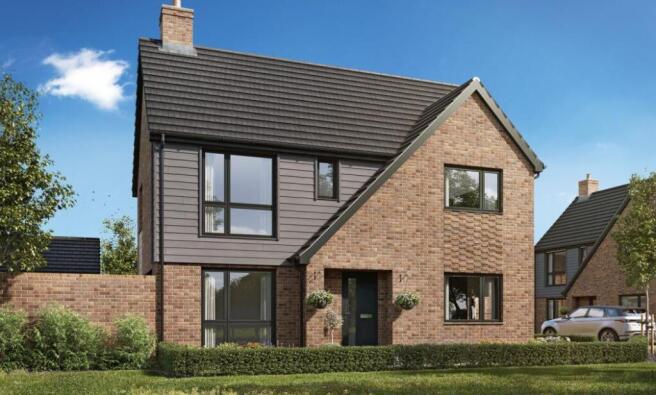 Dandara - Hawthorn Grove - The Buckley, Home 26