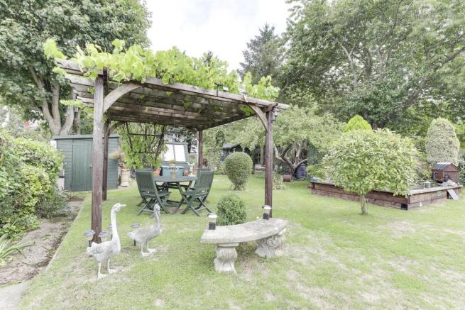 garden 2.jpg