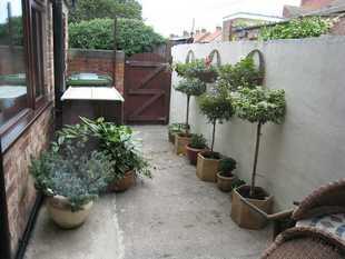 Photo 5