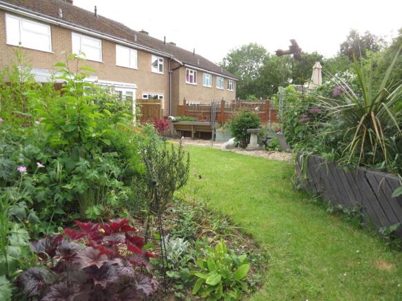 Photo 11
