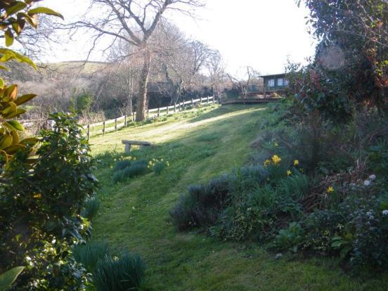 Meadow View