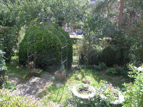 Photo 6