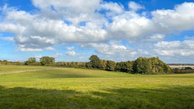 Pasture land.