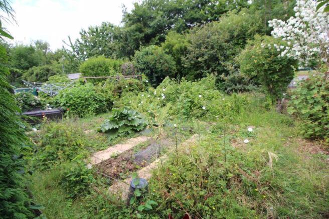 Rear garden - ...