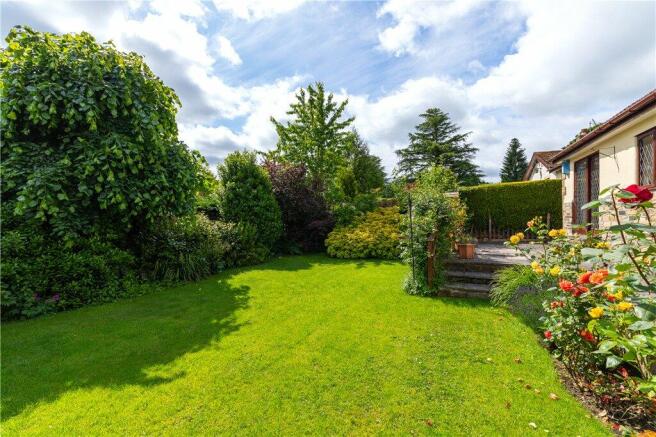Lawn