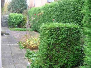 Rear Garden 3
