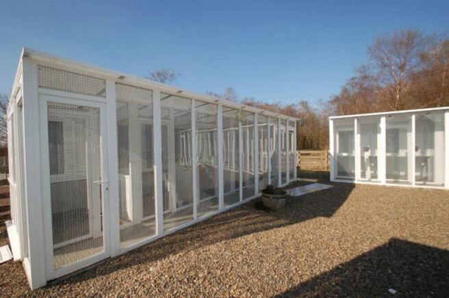 Cattery
