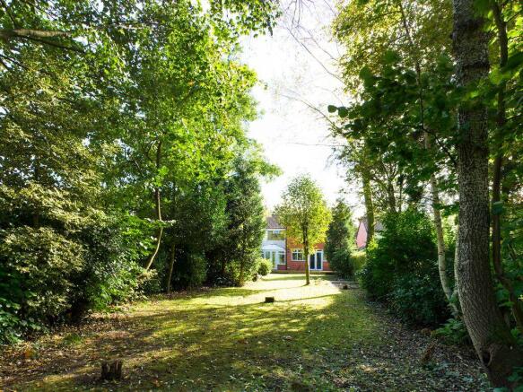 Garden at Back