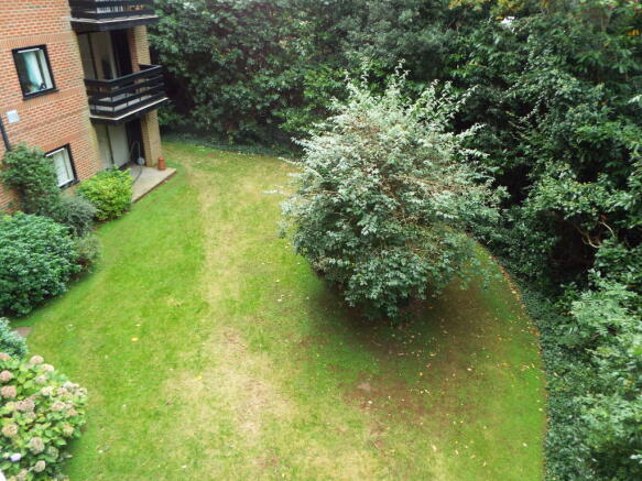 Photo 12