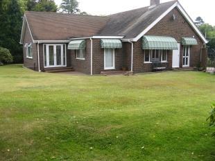 Garden View 2