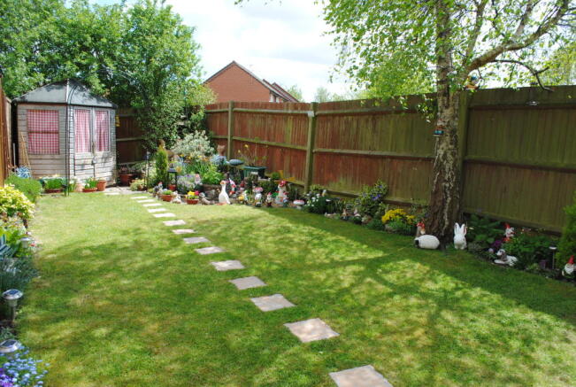 Photo 5