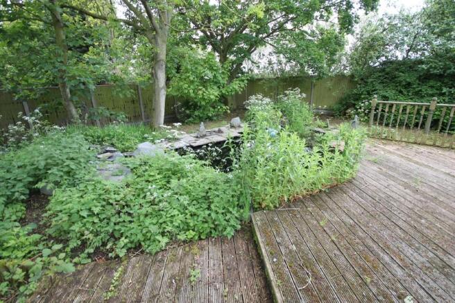 Decking & Pond