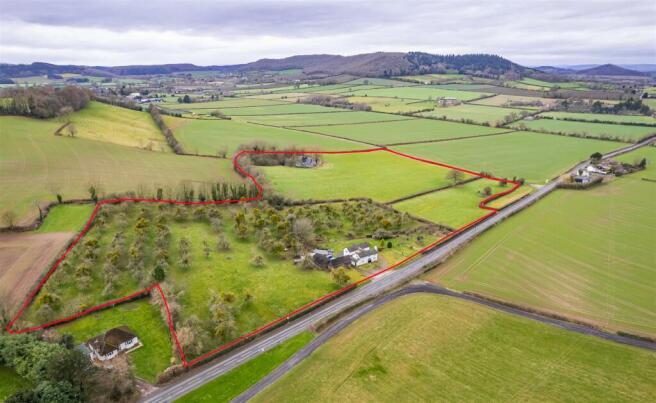 elevated redline.jpg