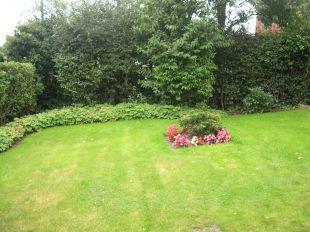 FRONT GARDEN