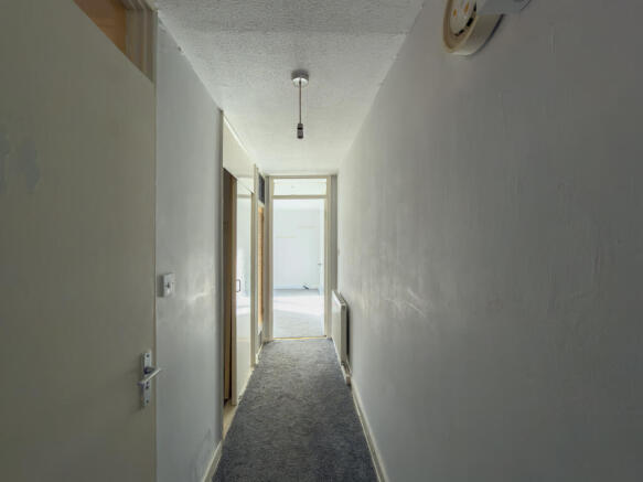 IMG 2793 T202602172047.jpg