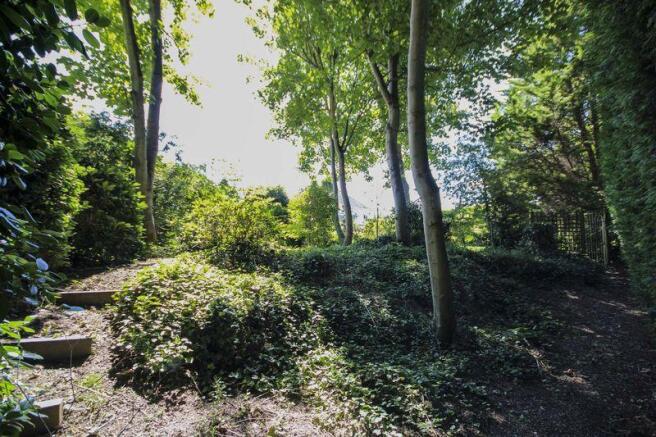 Secret wooded ...