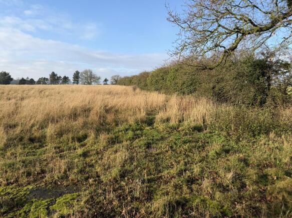 2  Medium  T202602100918.jpg