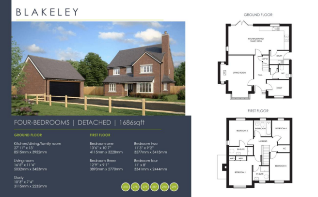Blakeley725mmx450mm.png