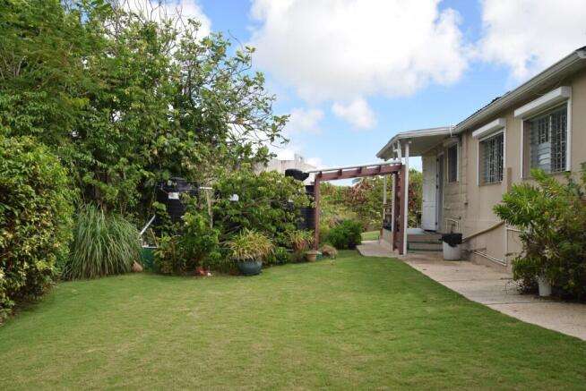 Back Garden